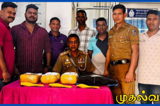 யாழ்ப்பாணத்தில் 4 கிலோ கஞ்சாவுடன் நல்லூர் பிரதேச சபை உறுப்பினர் கைது