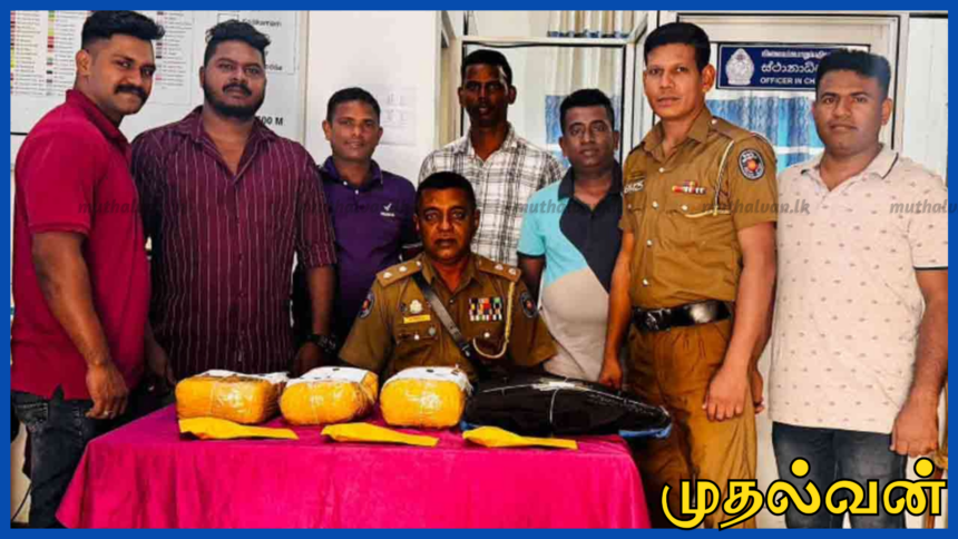 யாழ்ப்பாணத்தில் 4 கிலோ கஞ்சாவுடன் நல்லூர் பிரதேச சபை உறுப்பினர் கைது