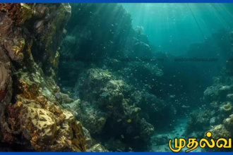 கடலுக்கு அடியில் ஆசியாவின் மிகப்பெரிய தங்க படிமம் சீனா கண்டுபிடிப்பு