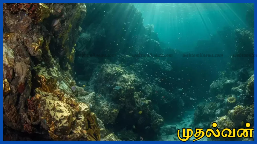 கடலுக்கு அடியில் ஆசியாவின் மிகப்பெரிய தங்க படிமம் சீனா கண்டுபிடிப்பு