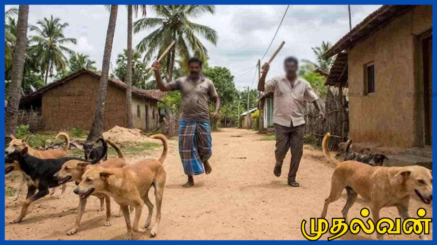 கல்முனையில் இறைச்சிக்காக நாய்கள் கொலை – பொலிஸார் விசாரணை