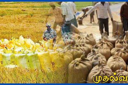 முல்லைத்தீவு விவசாயிகளுக்கு மகிழ்ச்சியான செய்தி – 28 முதல் நெல் கொள்வனவு ஆரம்பம்