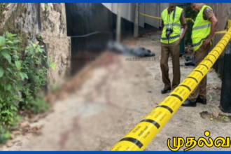 பிபிலையில் குடும்பத் தகராறில் தந்தை வெட்டிப் படுகொலை; மகன் கைது