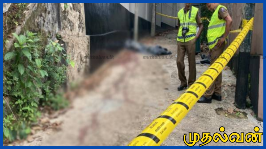 பிபிலையில் குடும்பத் தகராறில் தந்தை வெட்டிப் படுகொலை; மகன் கைது