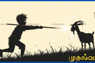 ஆட்டை மீட்கச் சென்ற 16 வயது சிறுவன் மின்சாரம் தாக்கி உயிரிழப்பு