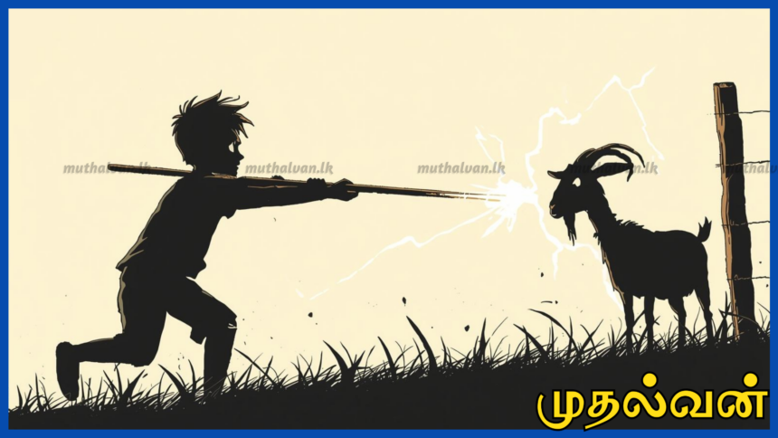 ஆட்டை மீட்கச் சென்ற 16 வயது சிறுவன் மின்சாரம் தாக்கி உயிரிழப்பு