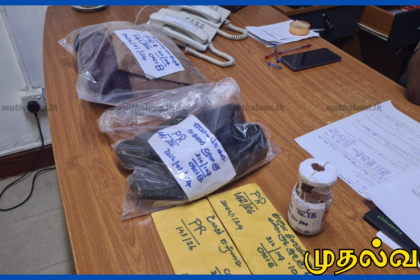 நகை வாங்க வந்தவர் போல நடித்து சங்கிலி அபகரிப்பு – நீதிமன்ற உத்தரவால் விளக்கமறியல்