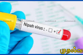நிபா வைரஸ் குறித்து இலங்கையில் எவ்வித அச்சுறுத்தலும் இல்லை – சுகாதார அமைச்சு