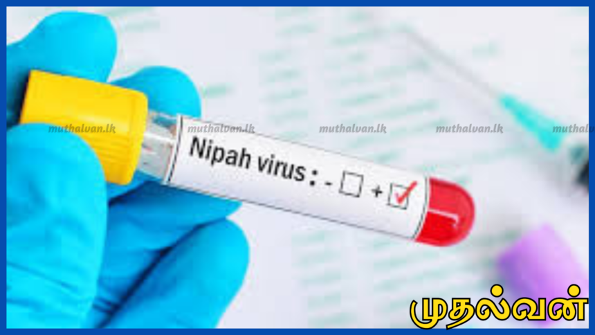 நிபா வைரஸ் குறித்து இலங்கையில் எவ்வித அச்சுறுத்தலும் இல்லை – சுகாதார அமைச்சு