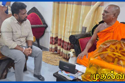 நாகதீப ரஜமகா விகாரையின் விகாராதிபதியை ஜனாதிபதி அநுர குமார திசாநாயக்க சந்திப்பு