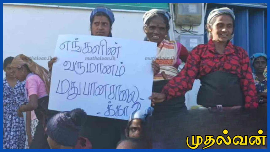 நோர்வூட் வெஞ்சர் பகுதியில் 25 ஆண்டுகளாக இயங்கும் மதுபானசாலை மூடக் கோரி ஆர்ப்பாட்டம்