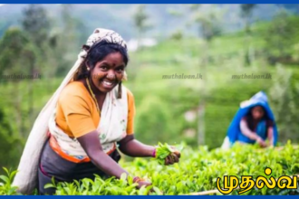 பொகவந்தலாவை காசல்ரி தோட்டத்தில் ஜனவரி மாத சம்பளம் 1,750 ரூபா நாள் சம்பளம் – மக்கள் மகிழ்ச்சி