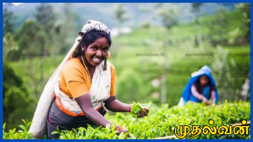 பொகவந்தலாவை காசல்ரி தோட்டத்தில் ஜனவரி மாத சம்பளம் 1,750 ரூபா நாள் சம்பளம் – மக்கள் மகிழ்ச்சி