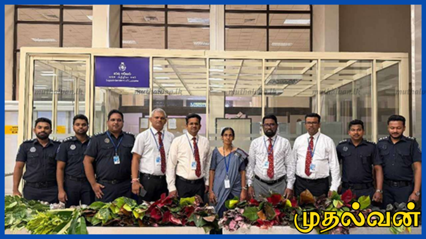 ரூ.6 இலட்சம் பெறுமதியான அலங்கார மலர்ச் செடிகளுடன் இலங்கை பயணி கைது