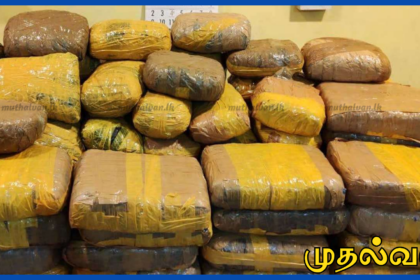 ராகமவில் 271 கிலோ கேரள கஞ்சா பறிமுதல் – 34 வயது நபர் கைது