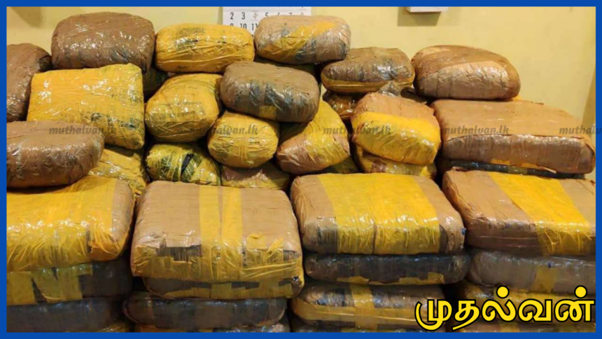 ராகமவில் 271 கிலோ கேரள கஞ்சா பறிமுதல் – 34 வயது நபர் கைது 1 ராகமவில் 271 கிலோ கேரள கஞ்சா பறிமுதல் – 34 வயது நபர் கைது