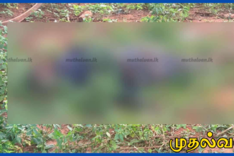 யாழ்ப்பாணம் கோப்பாய் பகுதியில் காணி தகராறு – ஒருவர் கொலை, 3 பேர் தலைமறைவு