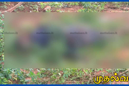 யாழ்ப்பாணம் கோப்பாய் பகுதியில் காணி தகராறு – ஒருவர் கொலை, 3 பேர் தலைமறைவு