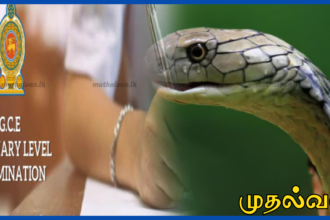 குளியாப்பிட்டி பகுதியில் பாம்பு கடித்ததால் பார்வை இழந்த O/L பரீட்சை மாணவன்