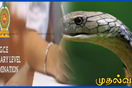 குளியாப்பிட்டி பகுதியில் பாம்பு கடித்ததால் பார்வை இழந்த O/L பரீட்சை மாணவன்