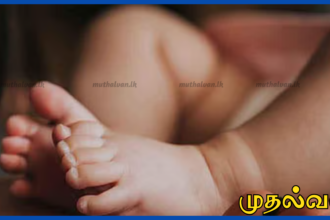 மீகஸ்வெவாவில் பெண் சிசு உடல் கண்டெடுப்பு – பகுதி முழுவதும் பரபரப்பு