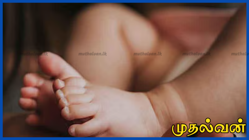 மீகஸ்வெவாவில் பெண் சிசு உடல் கண்டெடுப்பு – பகுதி முழுவதும் பரபரப்பு