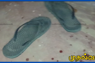 நெல்லியடி பகுதியில் மருமகனின் வாள்வெட்டு – மாமியார் உயிரிழப்பு மாமனார் படுகாயம்