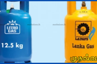 இலங்கையில் எரிவாயு விநியோகம் தடையின்றி – மூன்று நாட்களுக்கு ஒருமுறை கப்பல்கள்