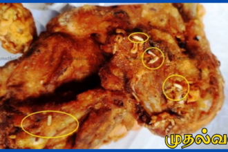 புழுக்களுடன் பொரித்த கோழி வழங்கிய கடை உரிமையாளருக்கு 15 ஆயிரம் ரூபாய் அபராதம் – சம்மாந்துறை நீதவான் நீதிமன்றம் உத்தரவு