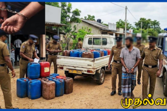 புல்மோட்டை நகரில் அதிக விலைக்கு டீசல் விற்பனை – 390 லீற்றர் டீசலுடன் சந்தேகநபர் கைது