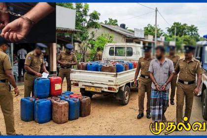 புல்மோட்டை நகரில் அதிக விலைக்கு டீசல் விற்பனை – 390 லீற்றர் டீசலுடன் சந்தேகநபர் கைது