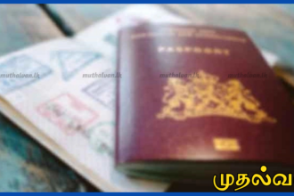இலங்கையில் சிக்கிய வெளிநாட்டவர்களுக்கு 14 நாள் விசா நீடிப்பு – அமைச்சரவை அங்கீகாரம்