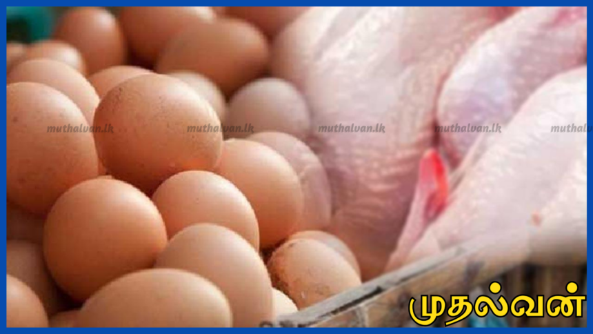 கோழி இறைச்சி பற்றாக்குறை இல்லை – பண்டிகைக்கு முழு விநியோகம்