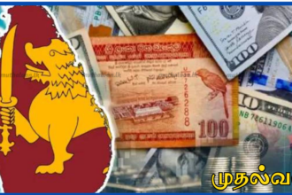 புலம்பெயர் பணப்பரிவர்த்தனை 26.5% உயர்வு – 2026 முதல் காலாண்டில் $2.29 பில்லியன் வரவு