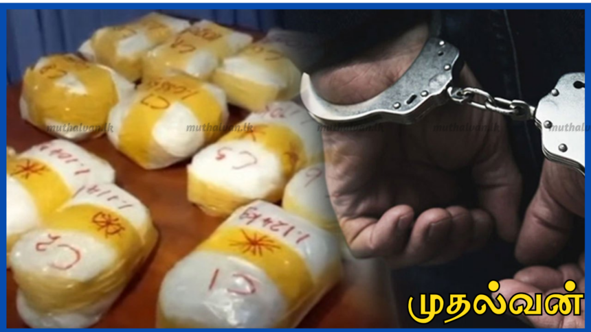 மரக்கறி லாரியில் மறைத்து கொண்டுவந்த பல கோடி பெறுமதியான போதை மாத்திரைகள் – நபர் கைது