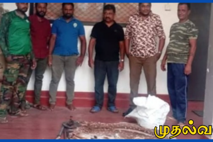 கல்கமுவவில் மானை வேட்டையாடி இறைச்சியாக்கிய இருவர் கைது