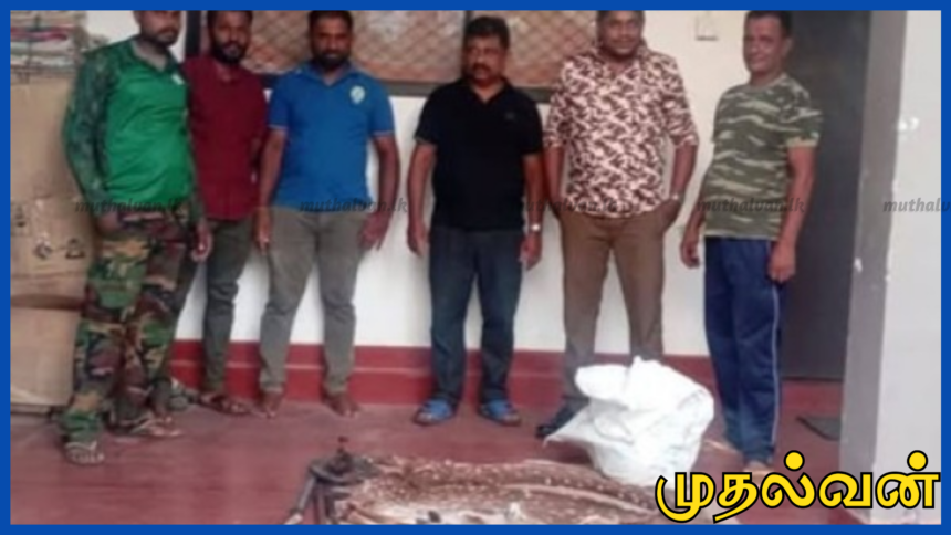 கல்கமுவவில் மானை வேட்டையாடி இறைச்சியாக்கிய இருவர் கைது