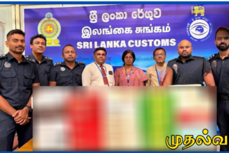 கட்டுநாயக்க விமான நிலையத்தில் இணைய வழி நிதி மோசடி முயற்சி: 9 சீனப் பிரஜைகள் 2.4 கோடி ரூபா பெறுமதியான சாதனங்களுடன் கைது