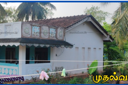 வவுனியாவில் சகோதரன் கத்தியால் குத்தியதில் சகோதரி பலி