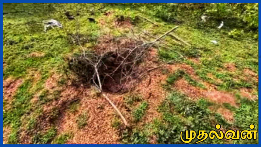 வவுனியாவில் அதிர்ச்சி சம்பவம் – புதைக்கப்பட்ட சடலத்தின் தலை துண்டித்து எடுத்துச் சென்ற மர்ம நபர்கள்