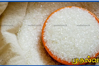 இந்தியாவின் சீனி ஏற்றுமதிக்கு தடை - சந்தையில் சீனி விலையும் உயர்வு