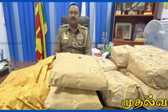 வவுனியாவில் ரூ.1 கோடி மதிப்புள்ள 21.6 கிலோ கேரள கஞ்சா பறிமுதல் – ஒருவர் கைது, இருவர் தப்பினர்