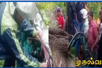 நாவலப்பிட்டியில் முச்சக்கரவண்டி மீது மரம் விழுந்து 3 மாணவர் உயிரிழப்பு