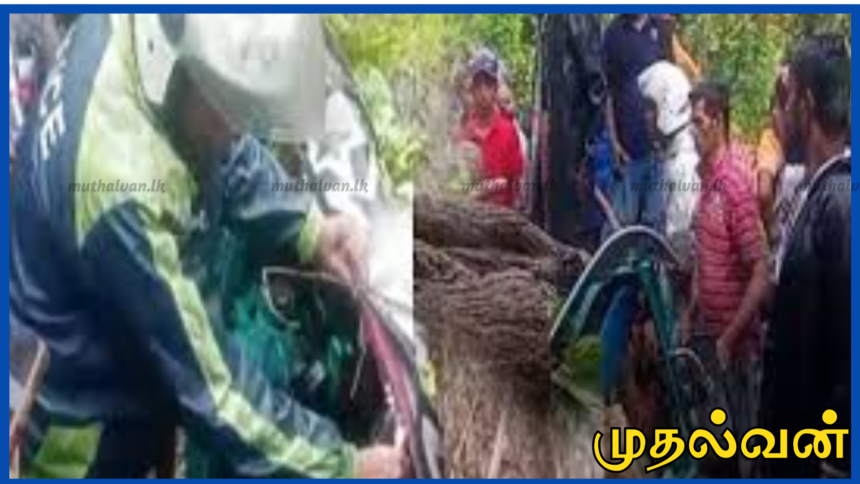 நாவலப்பிட்டியில் முச்சக்கரவண்டி மீது மரம் விழுந்து 3 மாணவர் உயிரிழப்பு