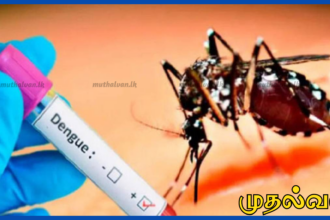 இலங்கையில் டெங்கு பாதிப்பு 50,000-ஐ கடந்தது – 30 பேர் உயிரிழப்பு
