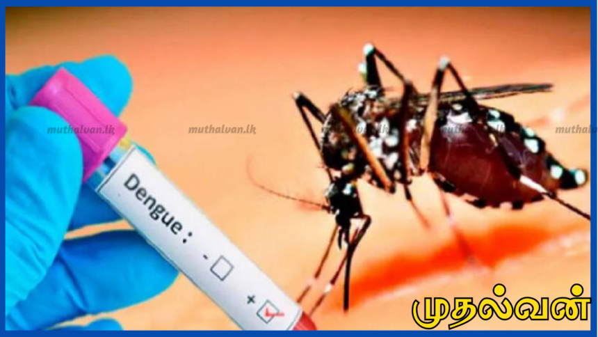 இலங்கையில் டெங்கு பாதிப்பு 50,000-ஐ கடந்தது – 30 பேர் உயிரிழப்பு