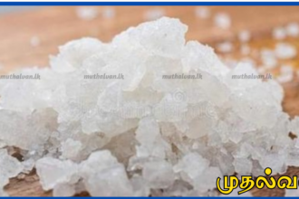 யாழ்ப்பாணத்தில் தரமற்ற உப்பு விற்றதற்காக இருவருக்கு ஒன்றரை ஆண்டு சிறைத்தண்டனை
