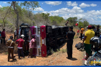 buttala-wild-elephant-bus-accident-kataragama-pilgrims